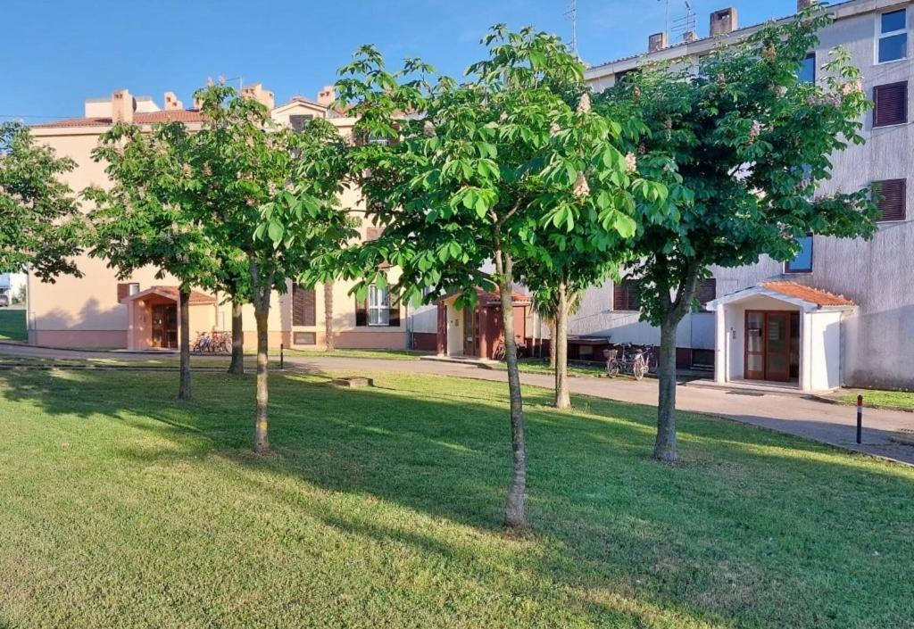 Stefan 1 Umag Exterior foto